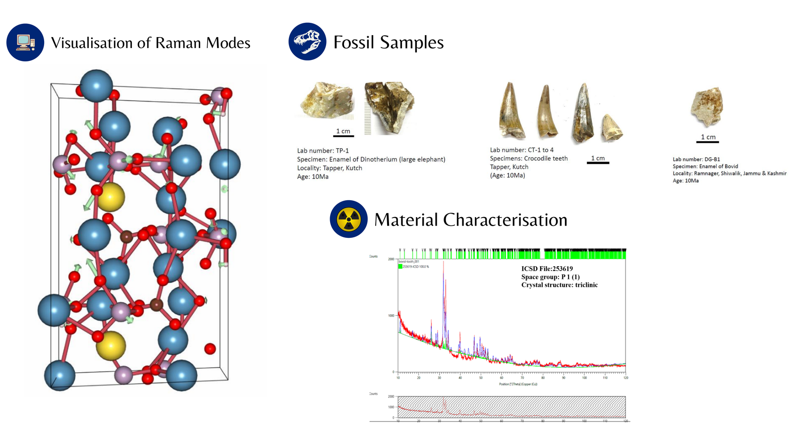 Vibrational and Raman Study in B-type Carbonated Hydroxyapatite